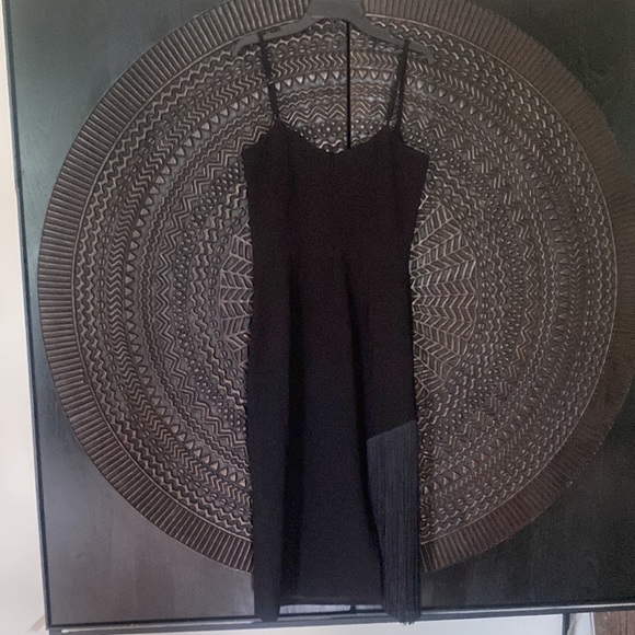 NEW Dress the Population Rory black fringe midi dress size XS - Picture 8 of 9